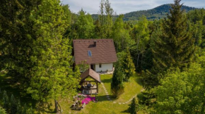 Holiday house with a parking space Lokve, Gorski kotar - 18226